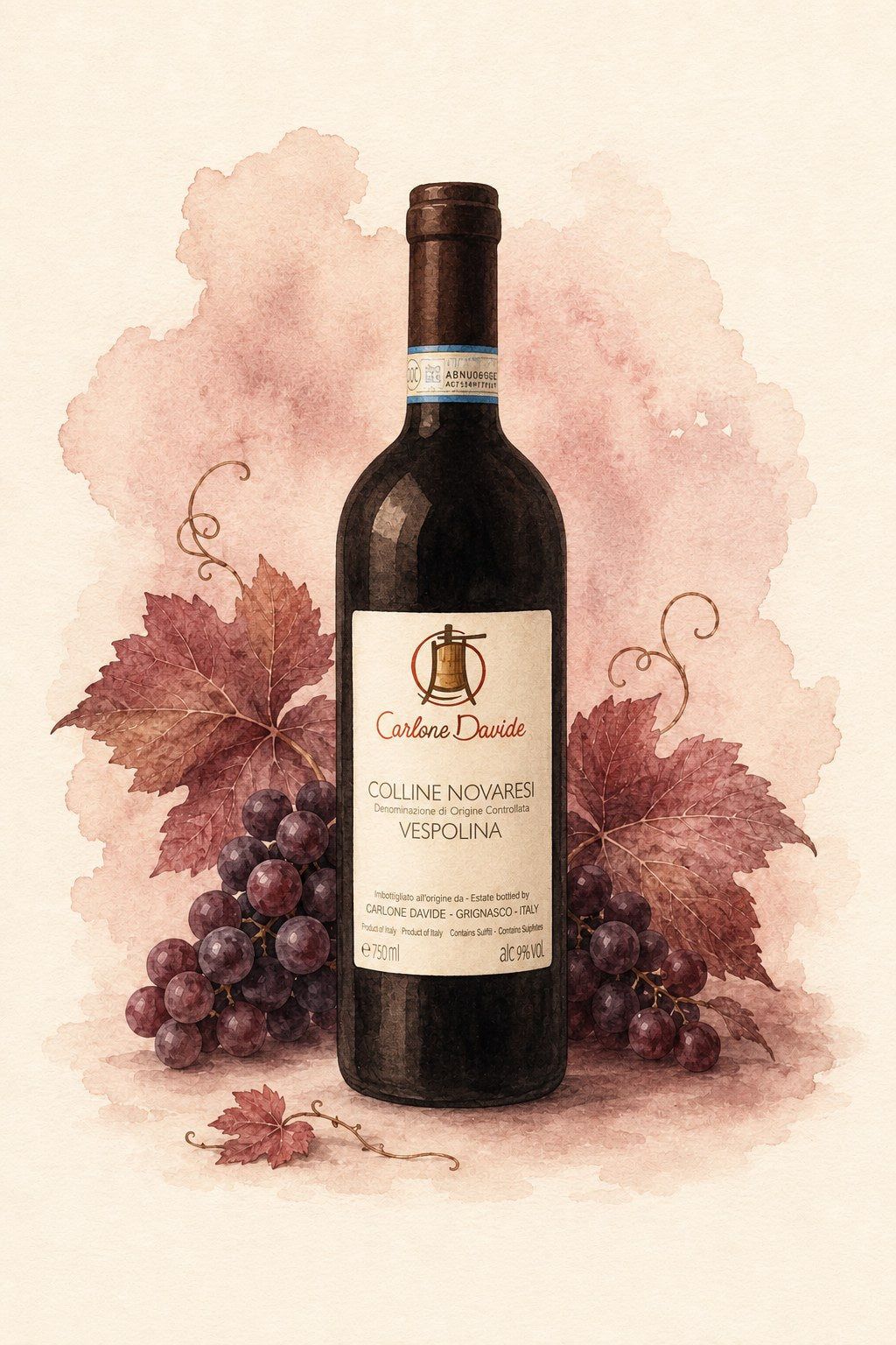 Davide Carlone 'Colline Novaresi' Vespolina