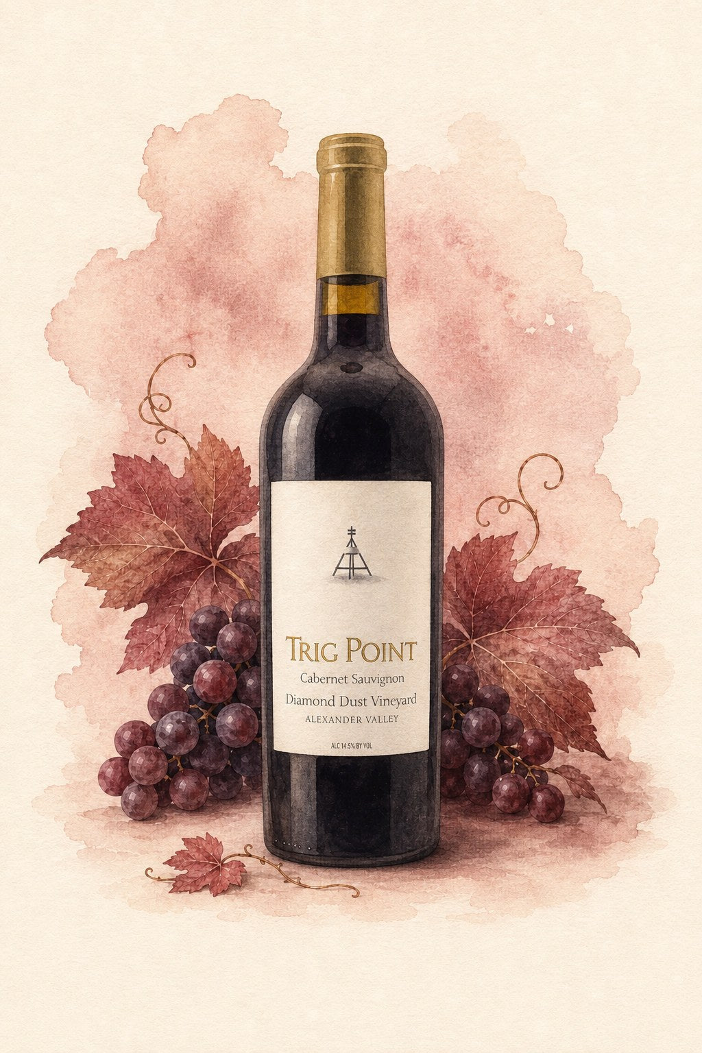 Trig Point ‘Diamond Dust’ Cabernet Sauvignon