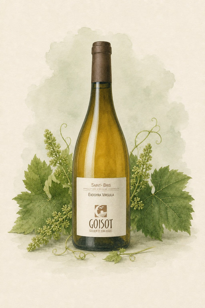 Goisot Saint-Bris Exogyra-Virgula 2022