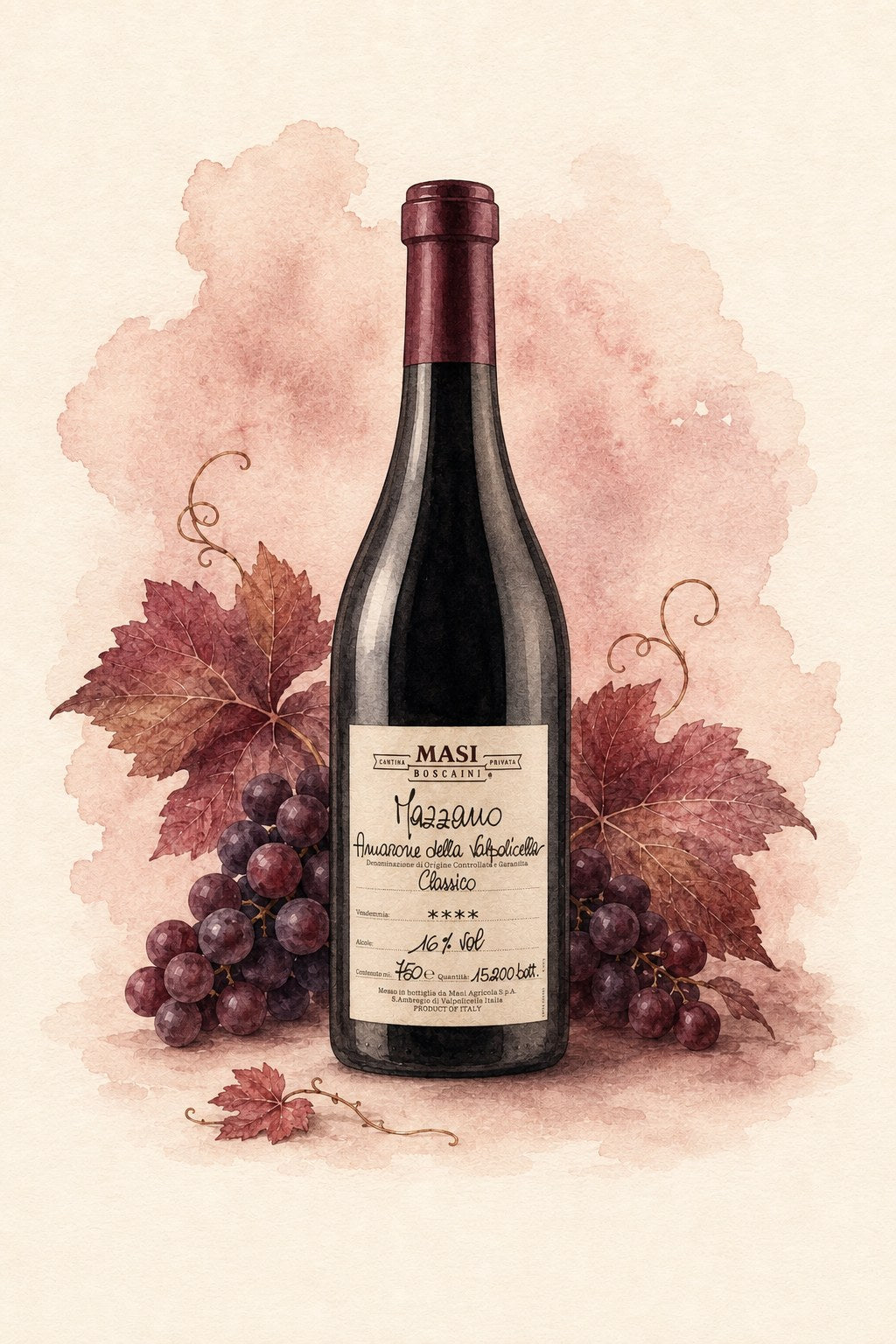 Masi Mazzano Amarone della Valpolicella
